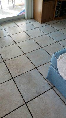 Beach To Bay Carpet Care