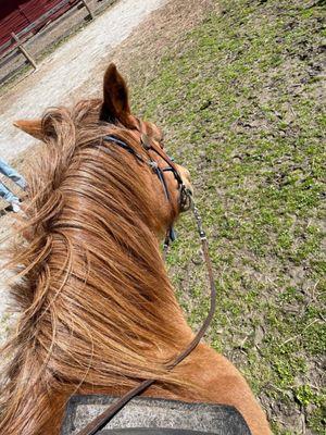 Springmaid Mountain Resort