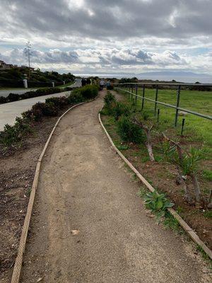 Ocean Trails Golf Club