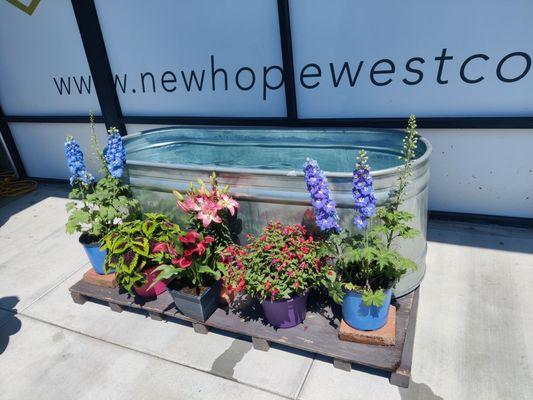 Baptism tub on Easter day