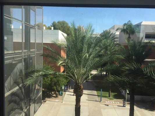 University of Arizona Health Sciences Center