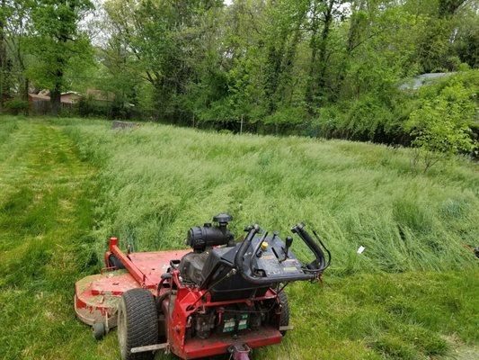 Allison Tree & Landscaping