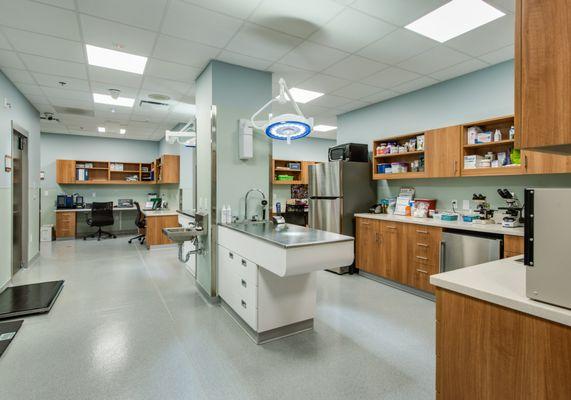 Faithful Friends Animal Society