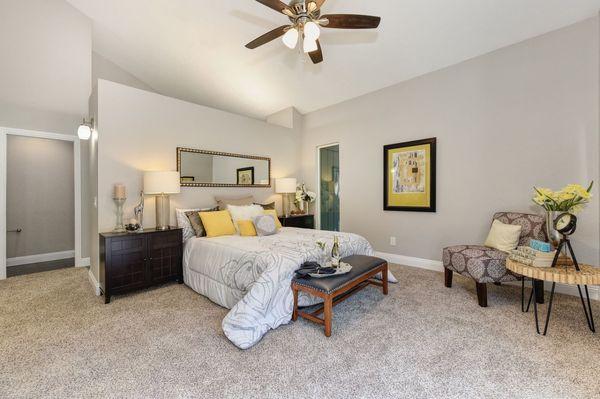 Trusted Pro Painters