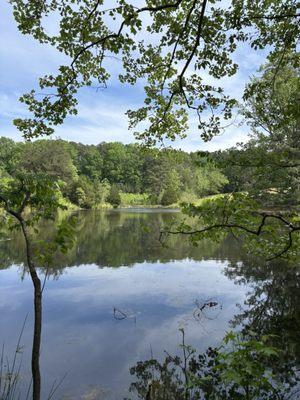 Annie Louise Wilkerson, MD Nature Preserve Park