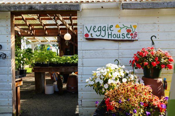 Puget Island Gardens