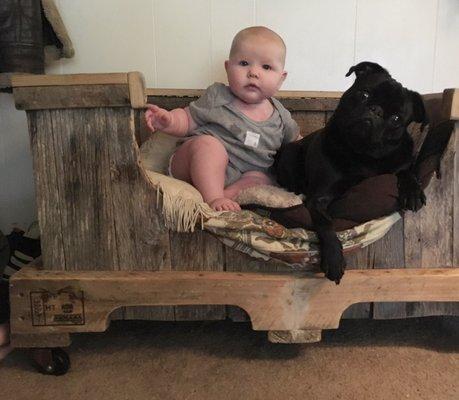 Orin and Bostwick in our three year old dog bed.
