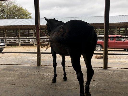 Land between the Lakes