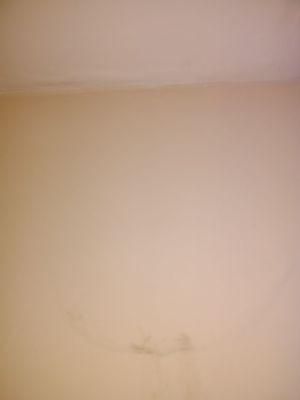 Damage to wall from constant leaking from the upstairs toilet