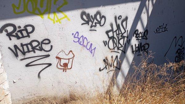 San Lorenzo Creek Trail