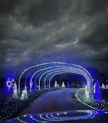 One of the most beautiful areas in the display. even more that you can't see but you get the idea :)