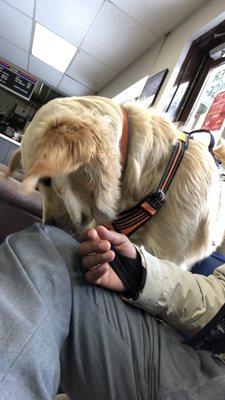 Fairfax Salvage & Repair