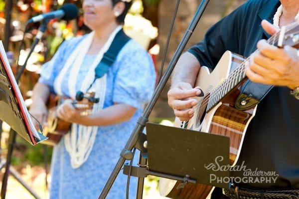 Sarah Anderson Photography