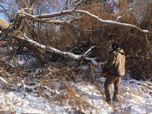 Storm damage clean up