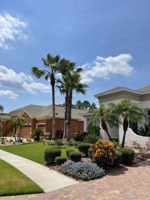 Martinez Tree Service & Landscape Design