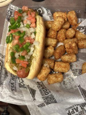 Chicago dog and tots