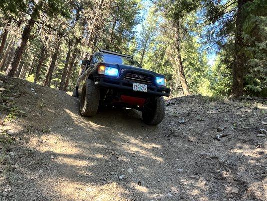 Busted Knuckles Mechanics