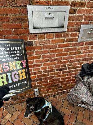 Kate Waller Barrett Branch Library