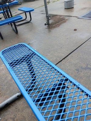 Clean up Pro's, We do the best yard was sweep an sprayed down.