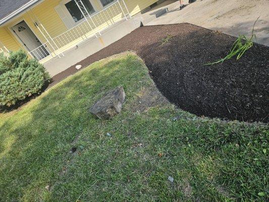 Nunez Stump Removal N More