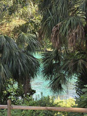 Rainbow River Canoe and Kayak