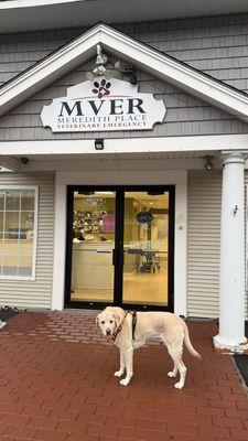 Meredith Place Veterinary Emergency