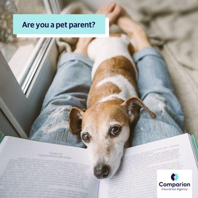 There's nothing like the love of a pet. Make sure they're protected with pet insurance. Call me to get a quote.