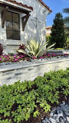 Decorative stone planter bed with Agave, groundcover and rock