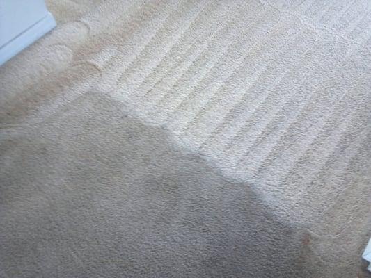 Best Care Carpet Cleaning