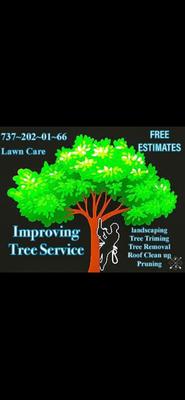 Improving Tree Service