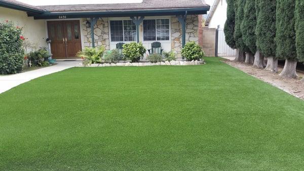 Synthetic Turf Looks Great