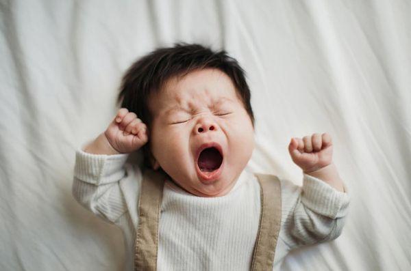 Tiny Forest Photography