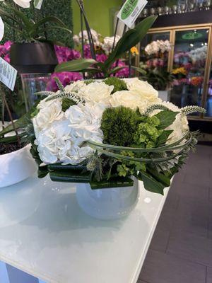 Muscari Flowers And Events