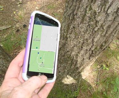 Geocaching is alive and well at Silver Spring Campground, Hamilton MI