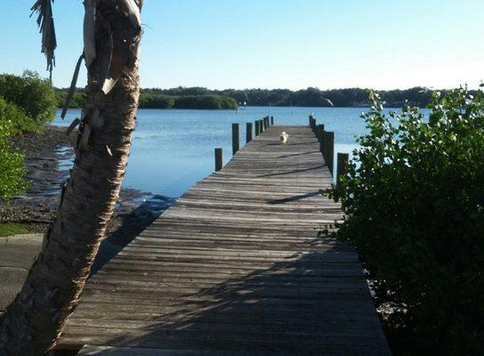 Gibtown Showmens Club