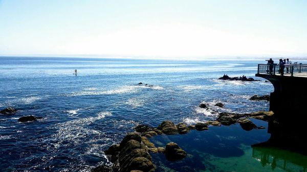 Edward F. Ricketts State Marine Conservation Area