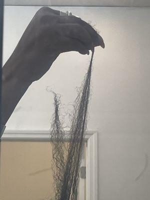 They cut a piece of my hair