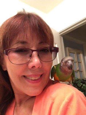 AAK Mobile Bird Grooming