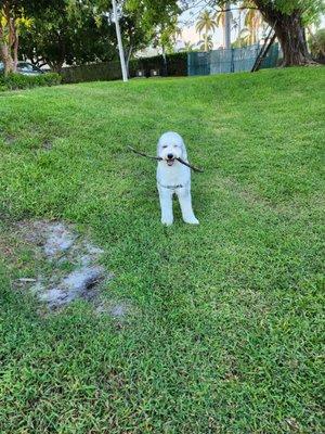 Delray Bay Apartment Homes