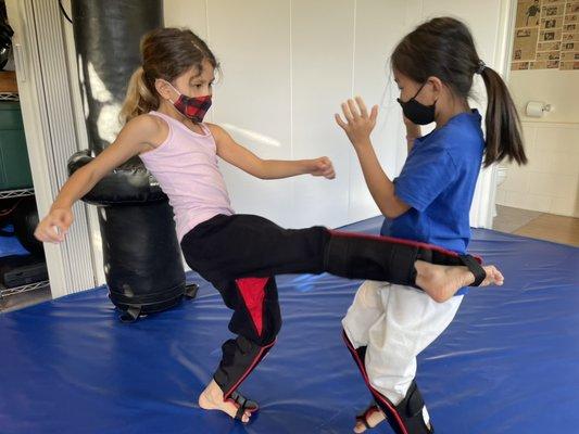Get Home Safe: Practical Self Defense Concepts