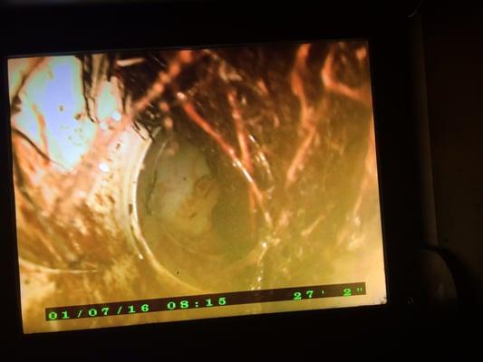 Roto Rooter Plumbing & Drain Service