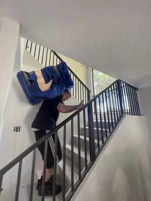 Albert's Relocation Services