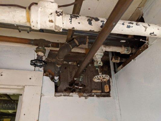 Mr Advocate Mold Removal & Water Restoration