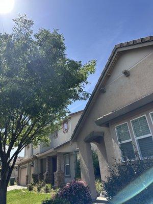 Fresh Air Tree Experts