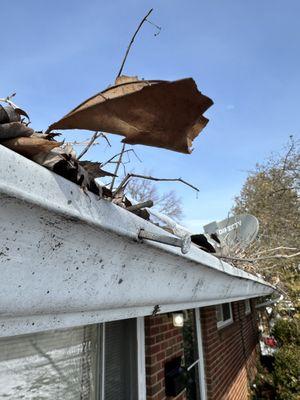 Gutter Spikes pulled out from too much weight and debris