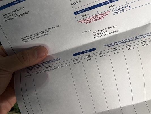 Pure Physical Therapy