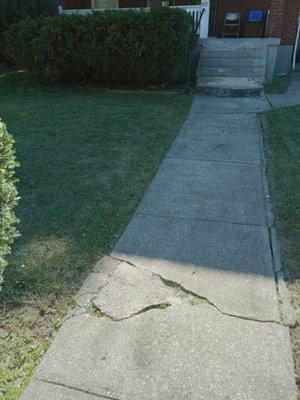 Cricket lawn and landscaping