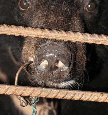 Horror is being held captive by people who are harming you.