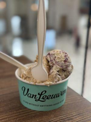 Van Leeuwen Ice Cream