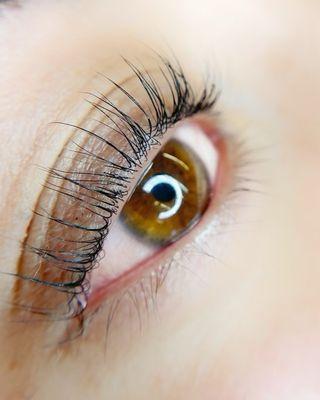 Lash Lift